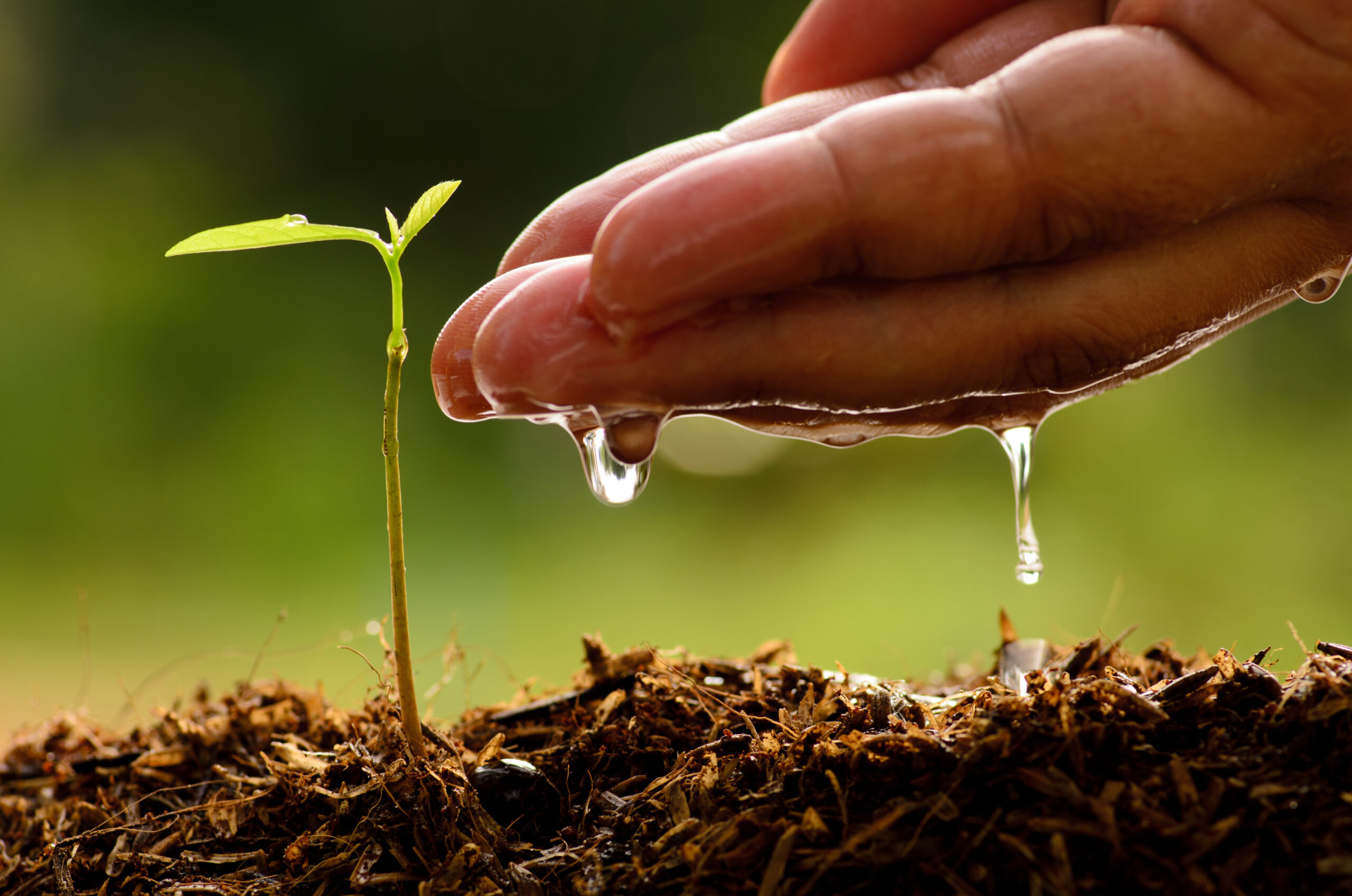 L’acqua per gli usi civili, per l’agricoltura per l’energia