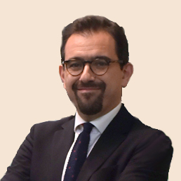 Francesco Clementi professore di Diritto pubblico comparato nell Università di Perugia